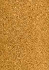 corkboard